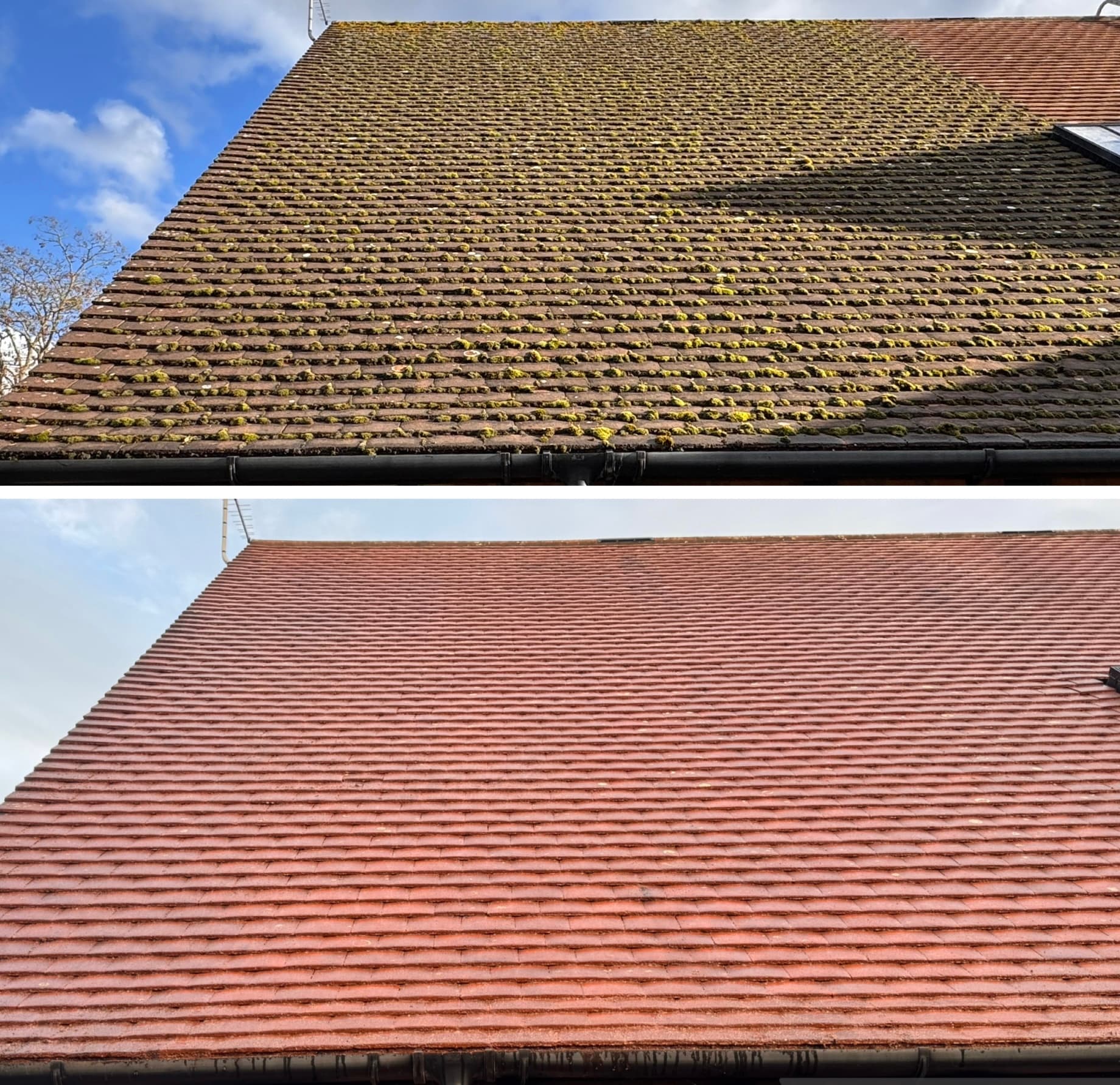 Full terrace roof soft wash