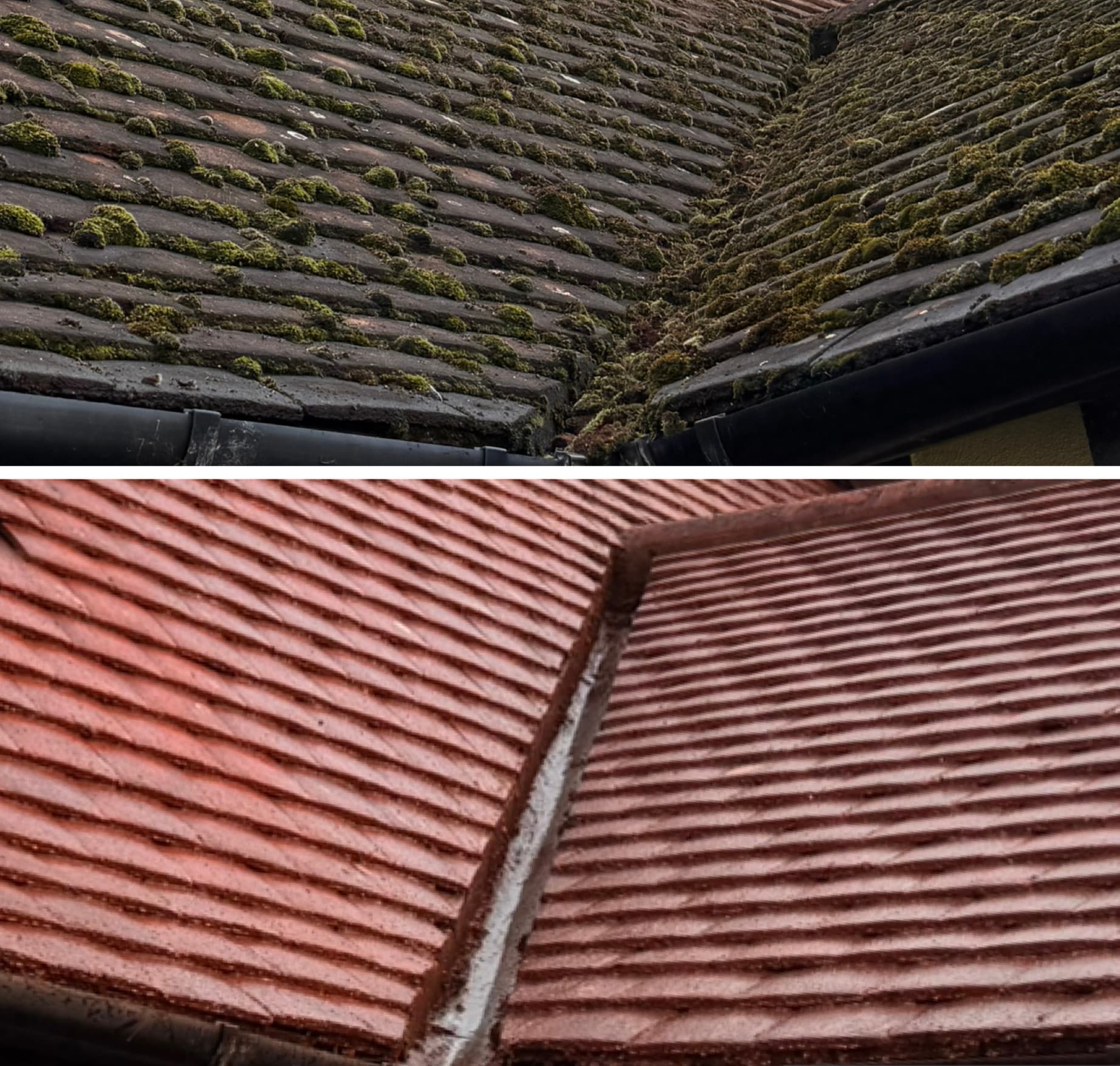Deep moss cleared from ridge tiles