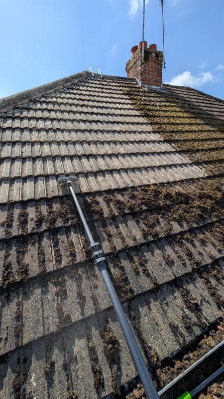 Roof Cleaning example 3