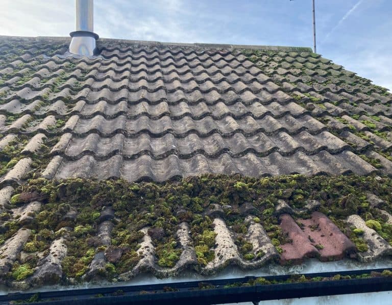 Roof cleaning in Oxfordshire